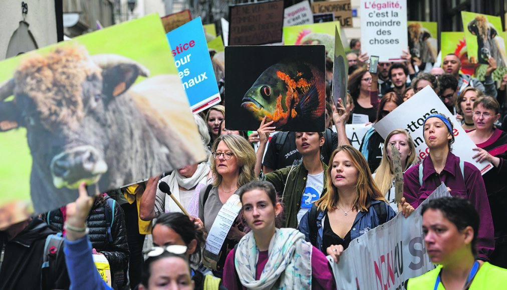 Des activistes antispécistes manifestent à Genève lors de la quatrième journée mondiale pour la fin du spécisme, le 25 août 2018 / © Keystone / Martial Trezzini