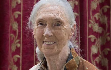 Jane Goodall en 2018 / ©Muhammad Mahdi Karim, GFDL 1.2 Wikimedia Commons